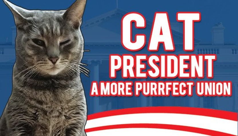 Cat President